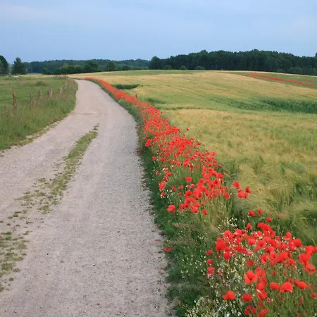 In Nahe Schloss Bothmer * Klutz