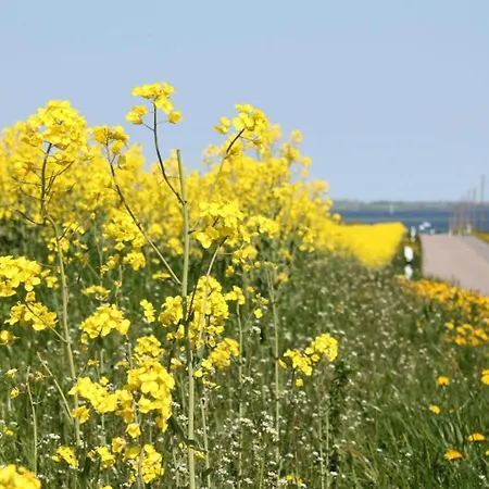 Appartamento In Nahe Schloss Bothmer *