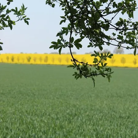 Appartamento In Nahe Schloss Bothmer Klutz