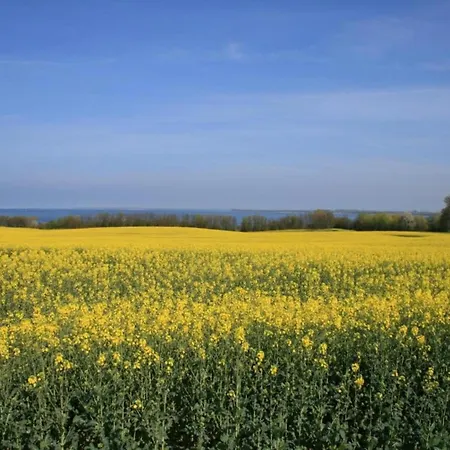 In Nahe Schloss Bothmer Appartamento *