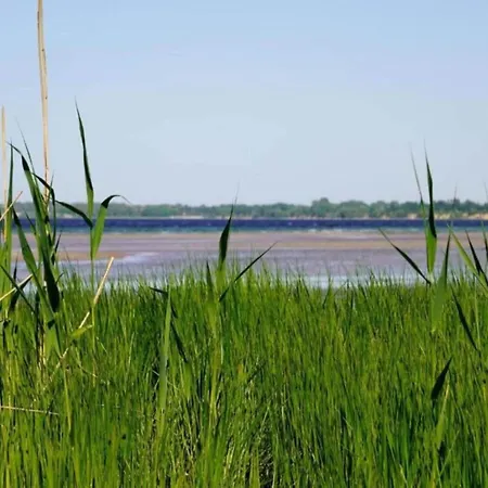 In Nahe Schloss Bothmer *